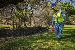 Servicios Públicos Urbanos jardinería