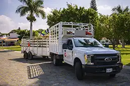 Servicios Públicos Urbanos recolección de desechos de jardín